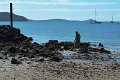 10Airlie (16)